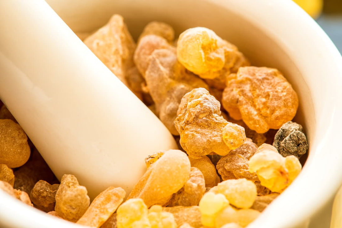 Boswellia Serrata (Shallaki): Benefits, Uses & More