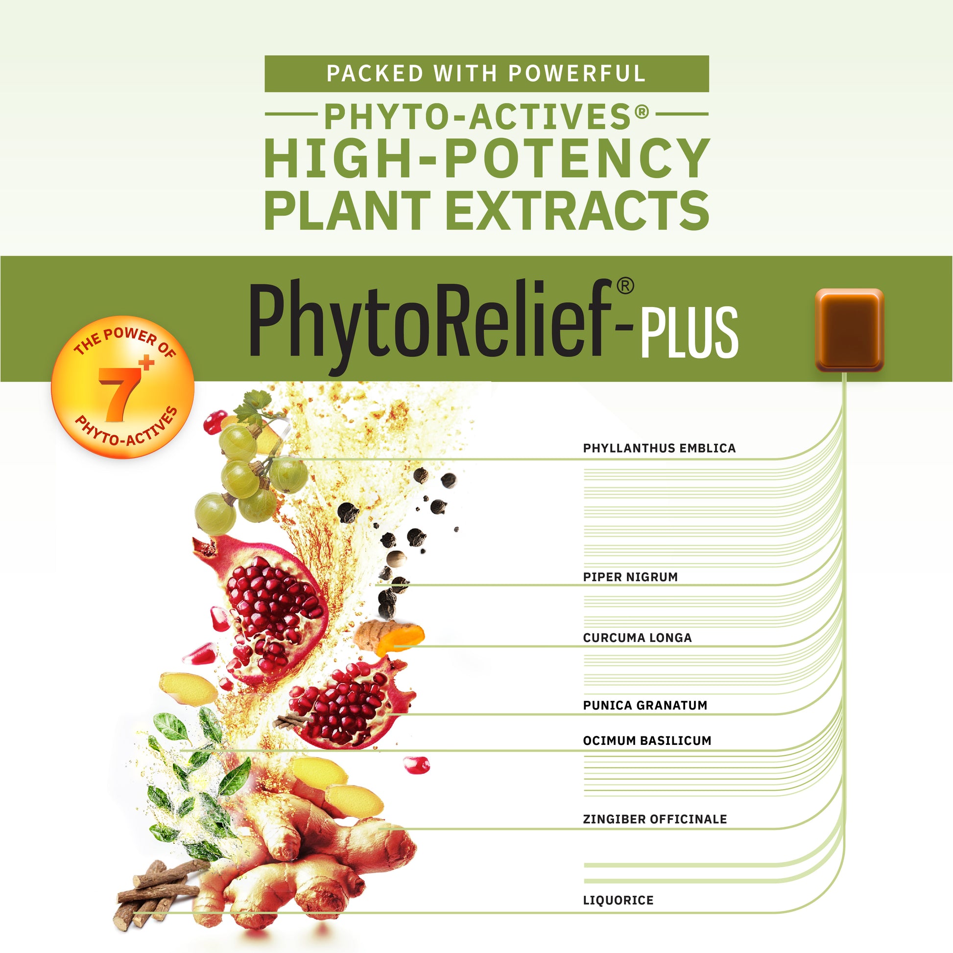 PhytoRelief®-Plus